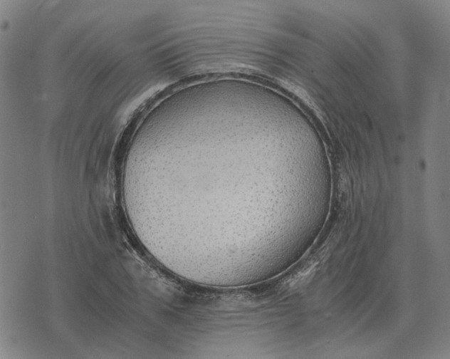 X0000076090979200610061637