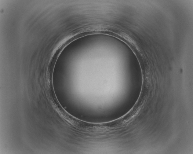 X0000076090981200610061637