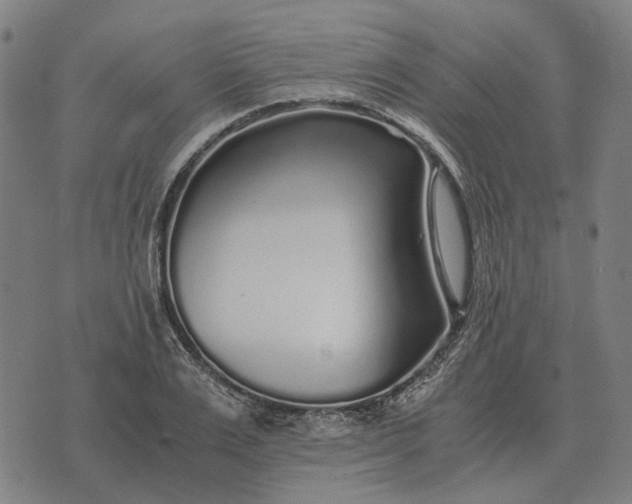 X0000076090983200610061637