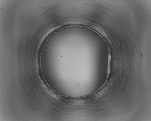 X0000076090984200610061637