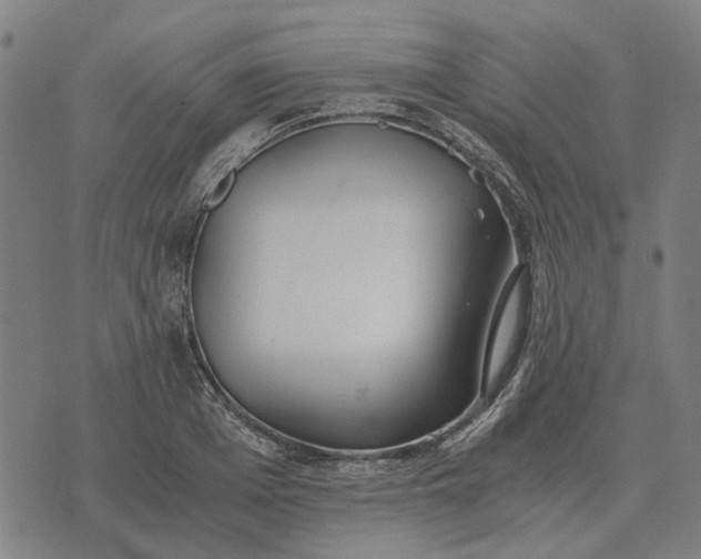 X0000076090985200610061637