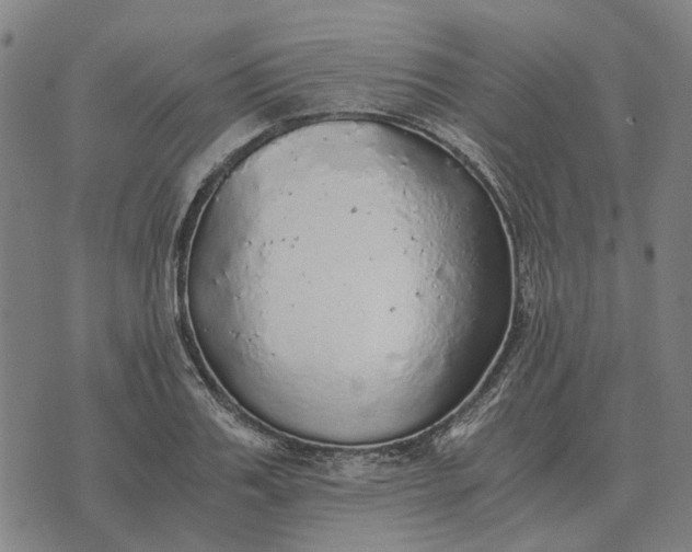 X0000076090987200610061637