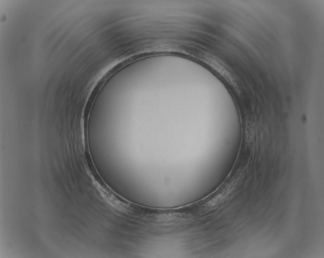 X0000076090988200610061636