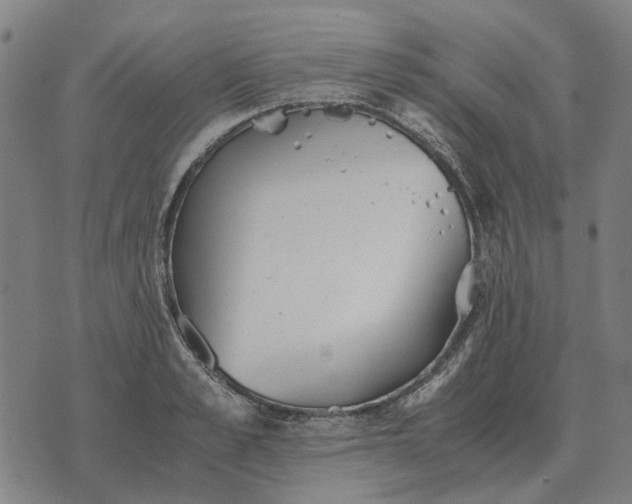 X0000076090989200610061636