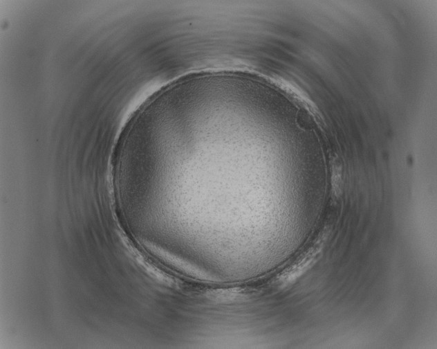 X0000076090990200610061636