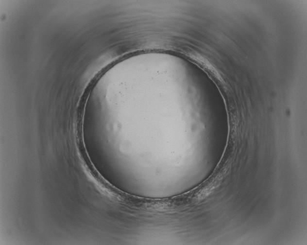 X0000076090991200610061636