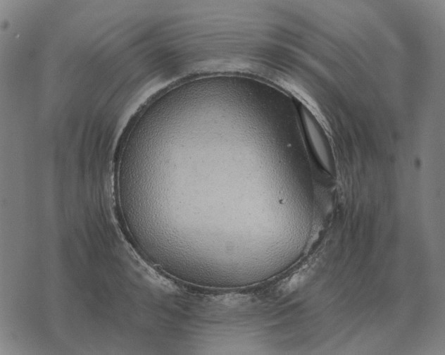 X0000076090992200610061636