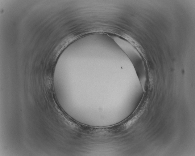 X0000076090993200610061636