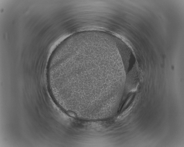 X0000076090995200610061636