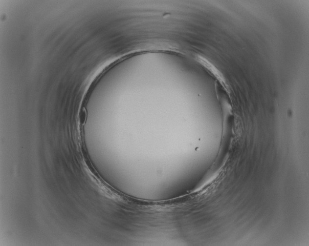 X0000076090996200610061636