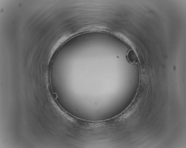 X0000076090997200610061636