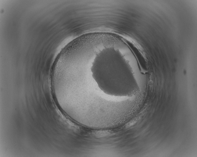 X0000076090998200610061636