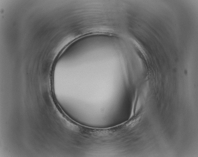 X0000076090999200610061636