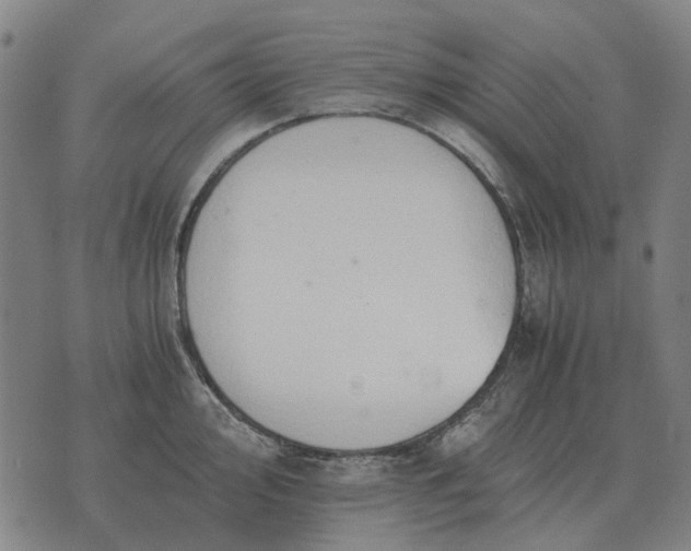 X0000076091000200610061636