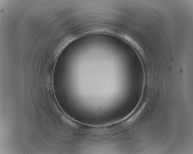 X0000076091001200610061636