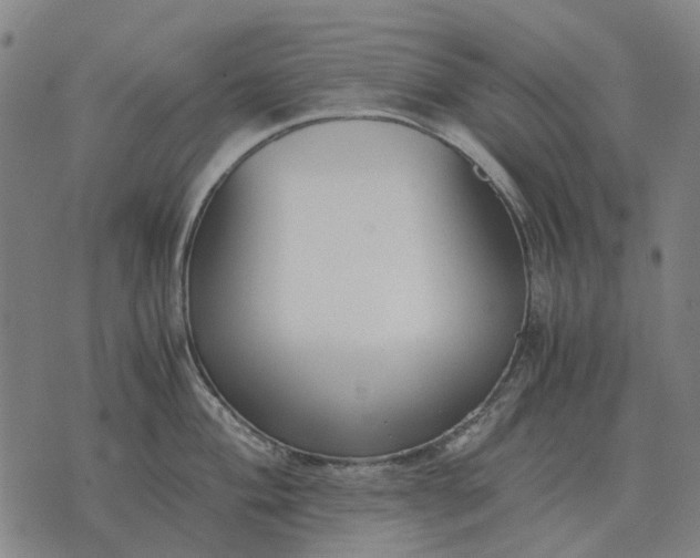 X0000076091004200610061636