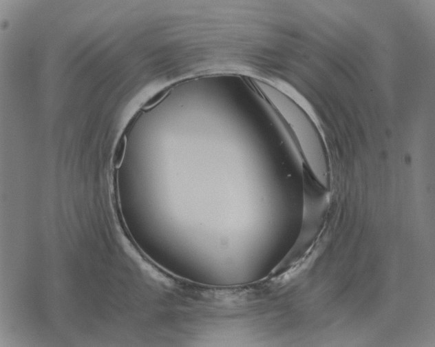 X0000076091005200610061636