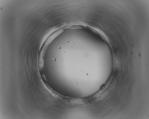 X0000076091006200610061636