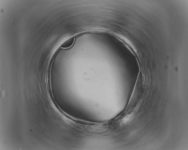 X0000076091007200610061636