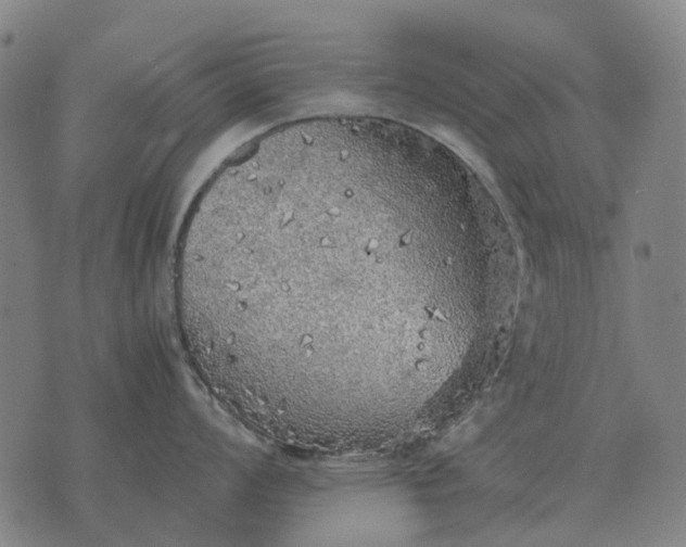 X0000076091008200610061636