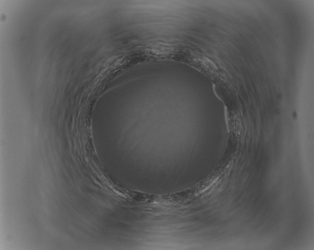 X0000076091009200610061635