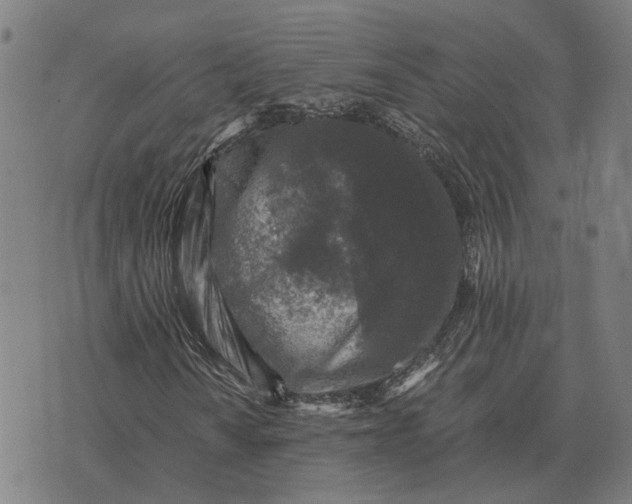 X0000076091010200610061635