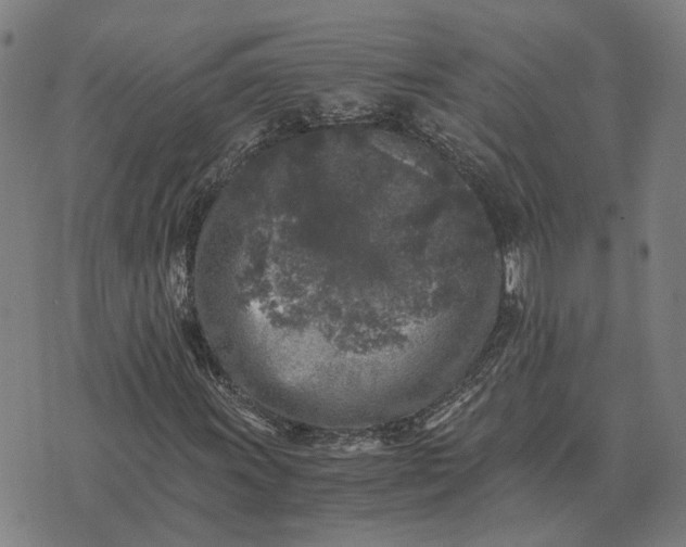 X0000076091011200610061635