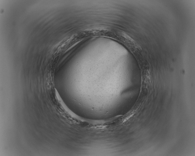 X0000076091014200610061635