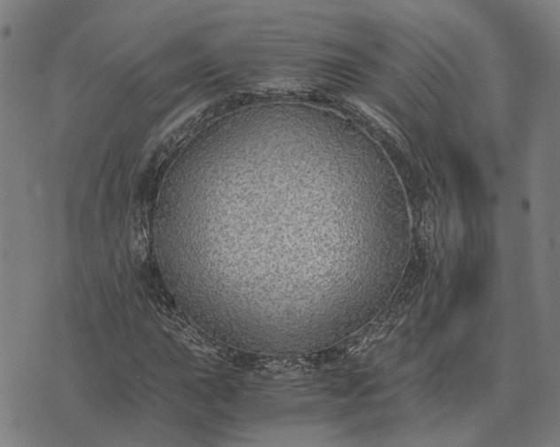 X0000076091015200610061635