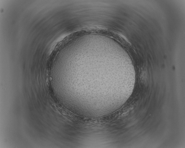 X0000076091016200610061636