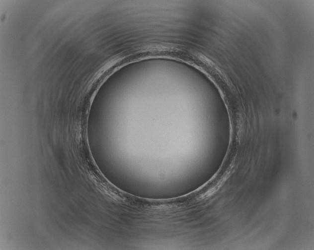 X0000076091017200610061636