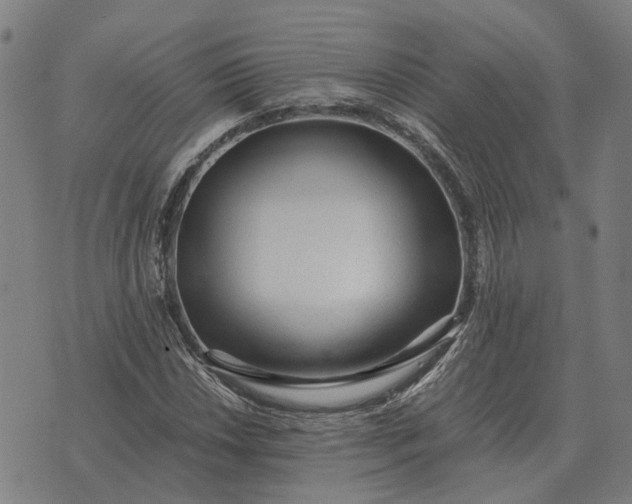 X0000076091018200610061636