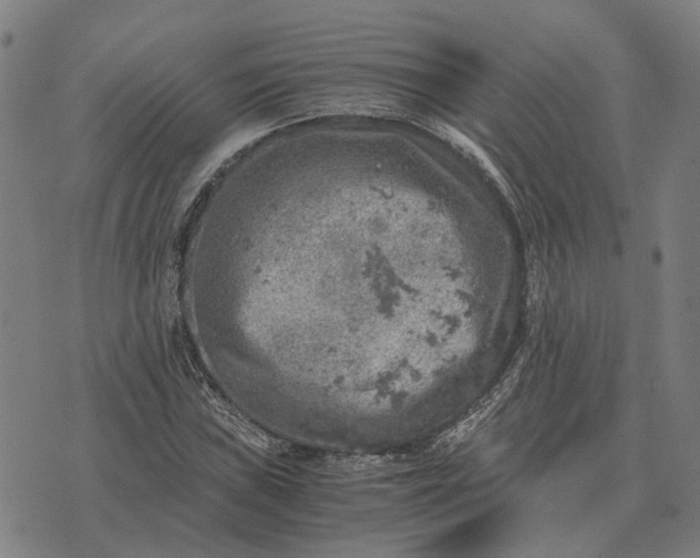 X0000076091019200610061636