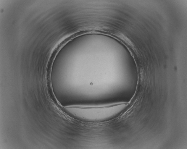 X0000076091020200610061636