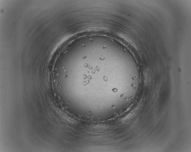 X0000076091021200610061636