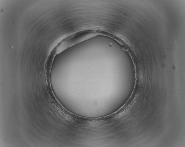 X0000076091022200610061636