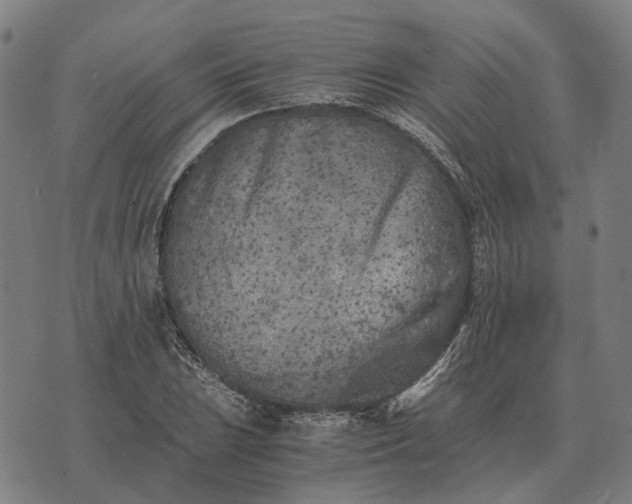 X0000076091023200610061636