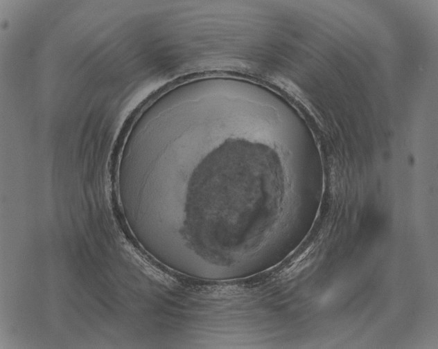 X0000076091024200610061636