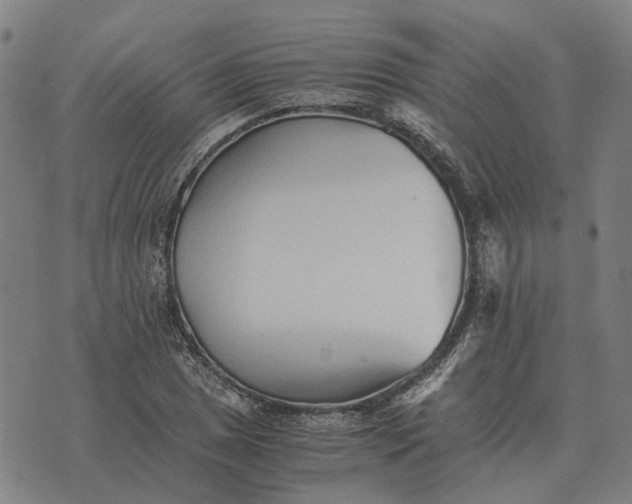 X0000076091025200610061636