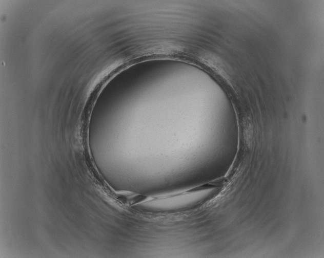 X0000076091026200610061636