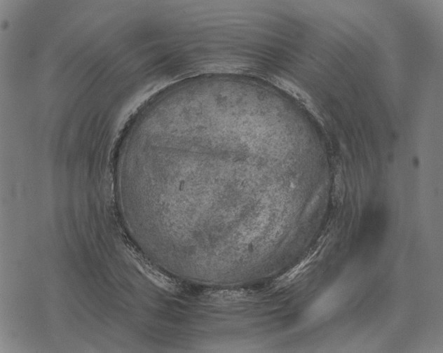 X0000076091027200610061636