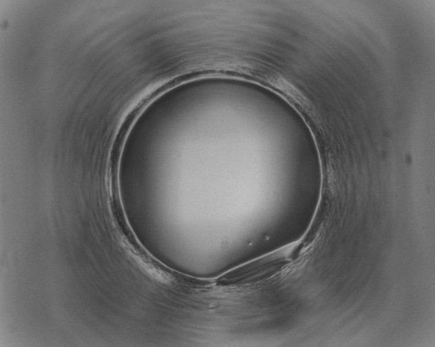 X0000076091028200610061636