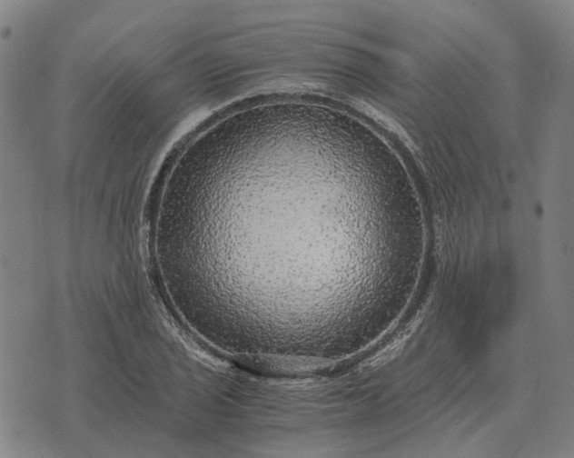 X0000076091029200610061636