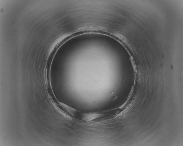 X0000076091030200610061636