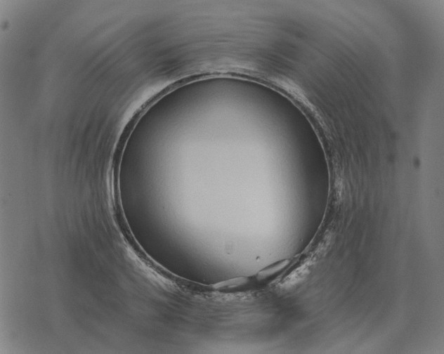 X0000076091032200610061636