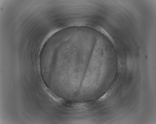 X0000076091035200610061636