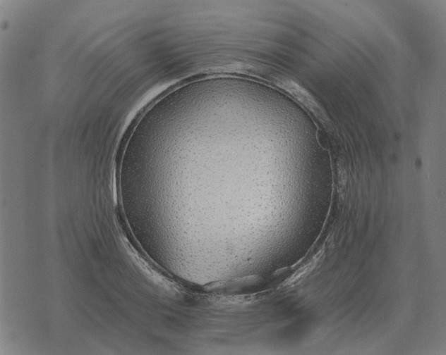 X0000076091036200610061636