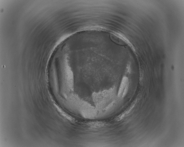 X0000076091037200610061636