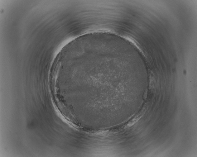 X0000076091038200610061636