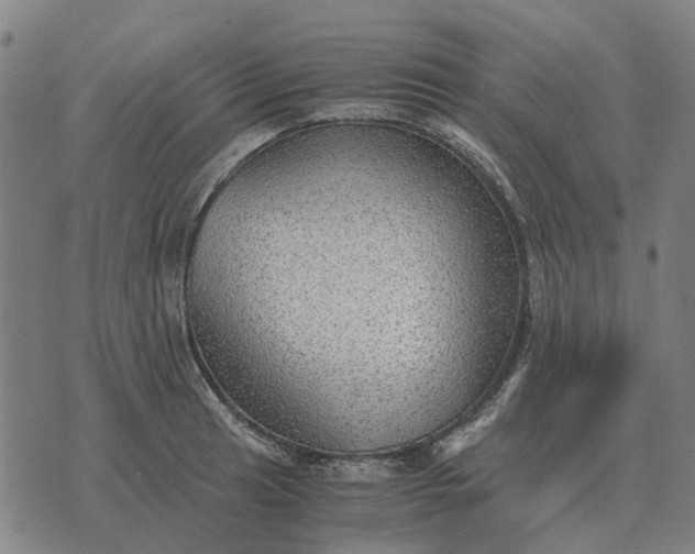 X0000076091041200610061636